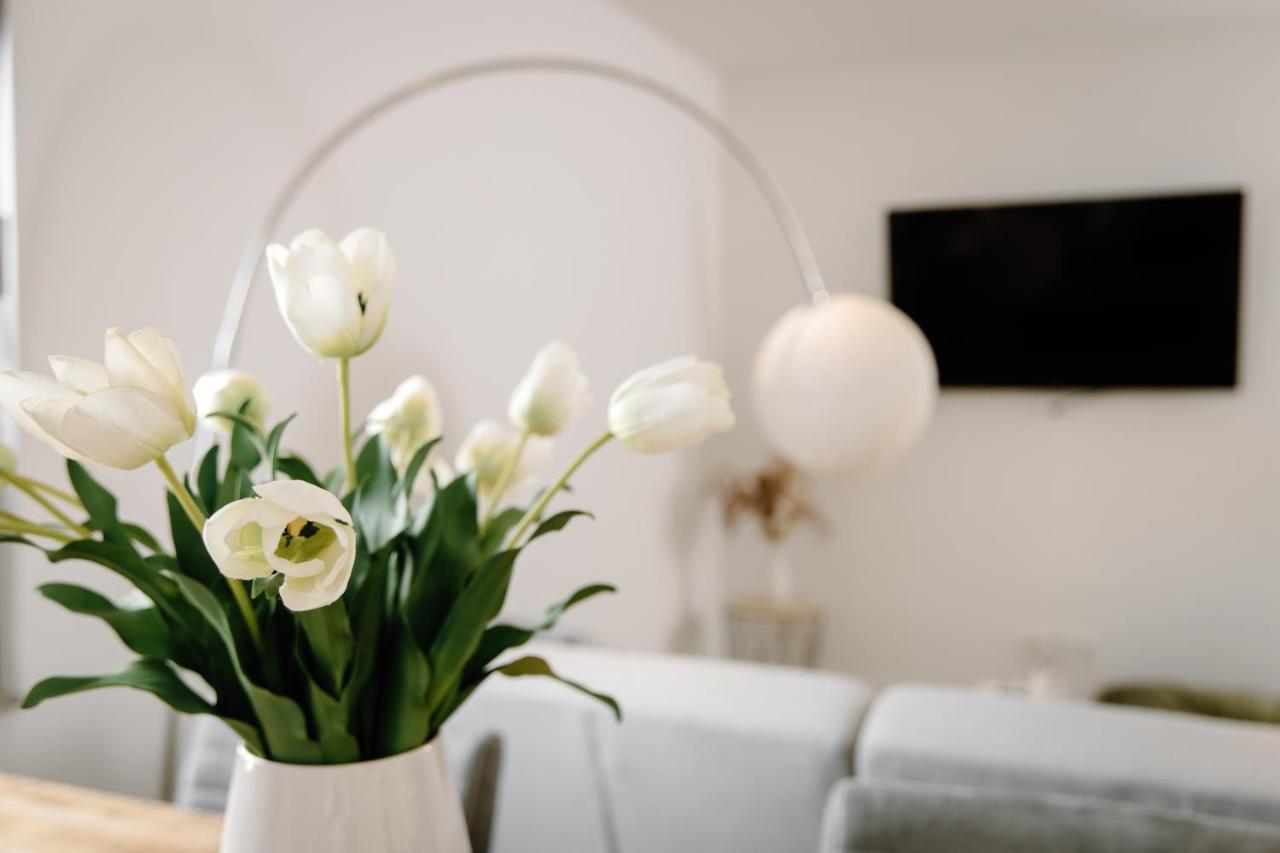 Moderne Suite No1 Im Herzen Von Hameln Hamelin Exteriör bild